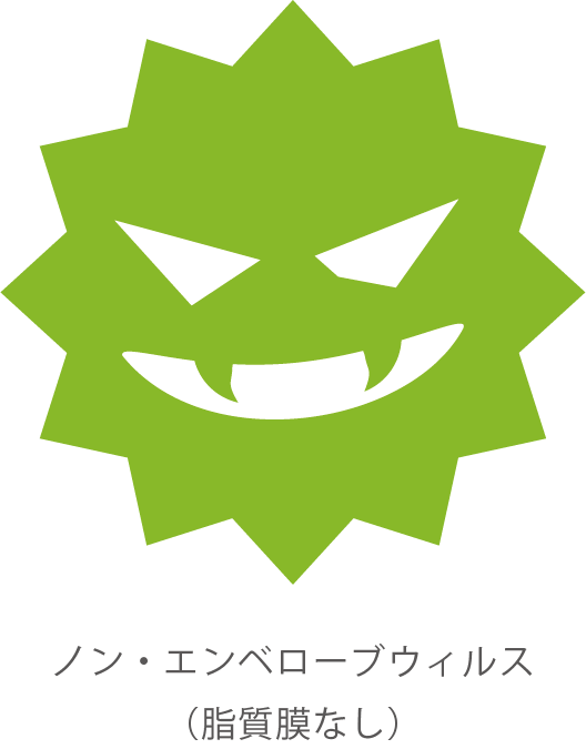 ノン・エンベロープウィルス（脂質膜なし）